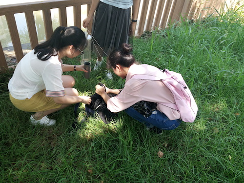 7月10日 毛巾哥探花
 赴嘉兴“青水”小分队实地考察并采样3