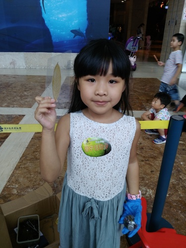 七月十号 毛巾哥探花
 B.D.服务社赴浙江自然博物馆”环保小课堂“小分队 看我做的漂亮书签