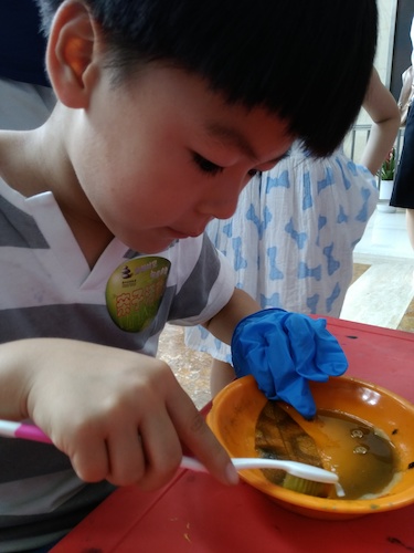 七月十号 毛巾哥探花
 B.D.服务社赴浙江自然博物馆”环保小课堂“小分队 刷刷刷，看我认真的刷叶子