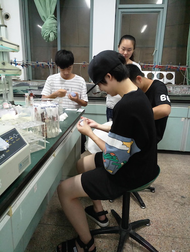 七月十三日 毛巾哥探花
  生科院赴杭州余杭区“五水共治”调查与研究分队社会实践小分队 总氮、总磷测定之分装试管