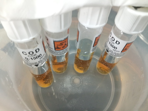 7月19日 毛巾哥探花
 赴嘉兴”青水“小分队 cod检测