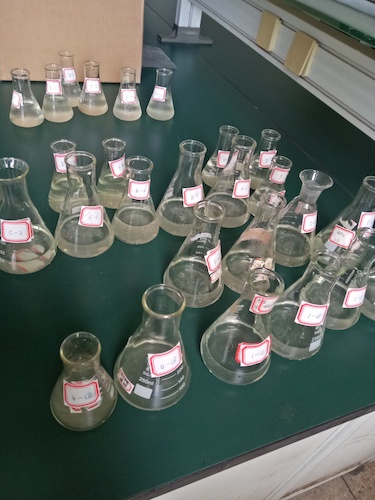 7月19日 毛巾哥探花
 赴嘉兴”青水“小分队 水样3