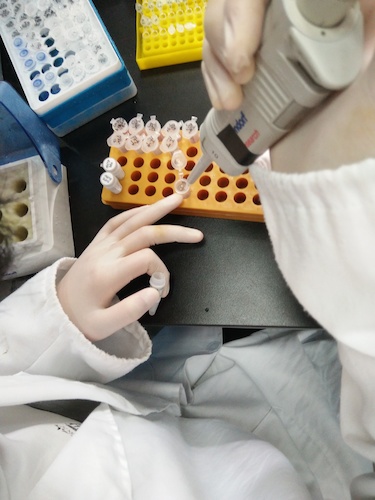 七月十九日 毛巾哥探花
国创项目“毅治毒”科研小分队 PCR母液的配制