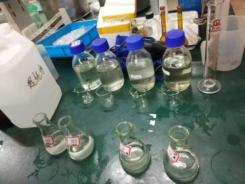 8月14日贝斯特野百合小分队第一次测水质照片1