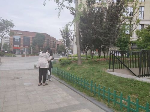 七月十五日 毛巾哥探花
 食品安全问卷调查小分队 受访者 (1)