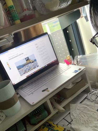 七月二日毛巾哥探花
 赴杭州”保护环境，拯救生命“小分队垃圾污染危害调查4_wps图片