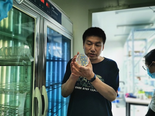 七月四日  毛巾哥探花
 “走近转基因”调研小分队 指导老师介绍转基因