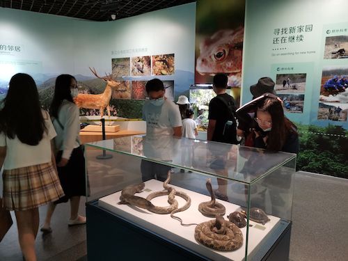 毛巾哥探花
 赴杭州”保护环境，拯救生命“小分队浙江自然博物馆3