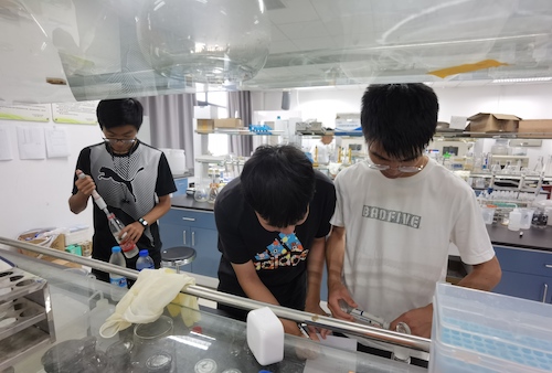 7月14日生科院水质检测社会实践小分队进行水质检测操作