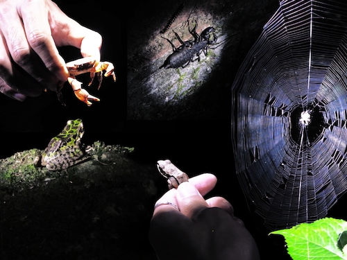 微信图片_20220701143556