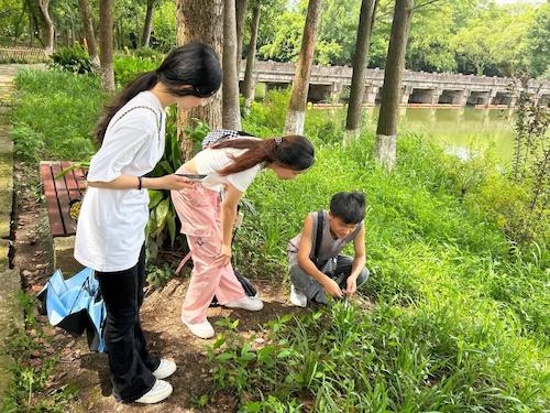 b7971bbcd0ea038308dfd515acc51d0c-sz_3119300(1)