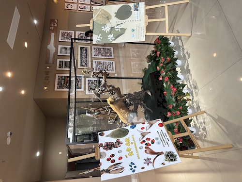 2024.10.29杭师大生科院“永恒芳华”植物标本展和“生命之歌”果实与种子展览1