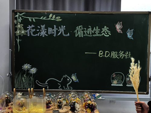 “花漾时光，循迹生态”活动板